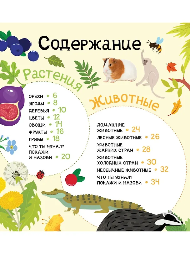 Книга Мои первые 300 слов. Животные, рыбы, птицы, растения () — 2