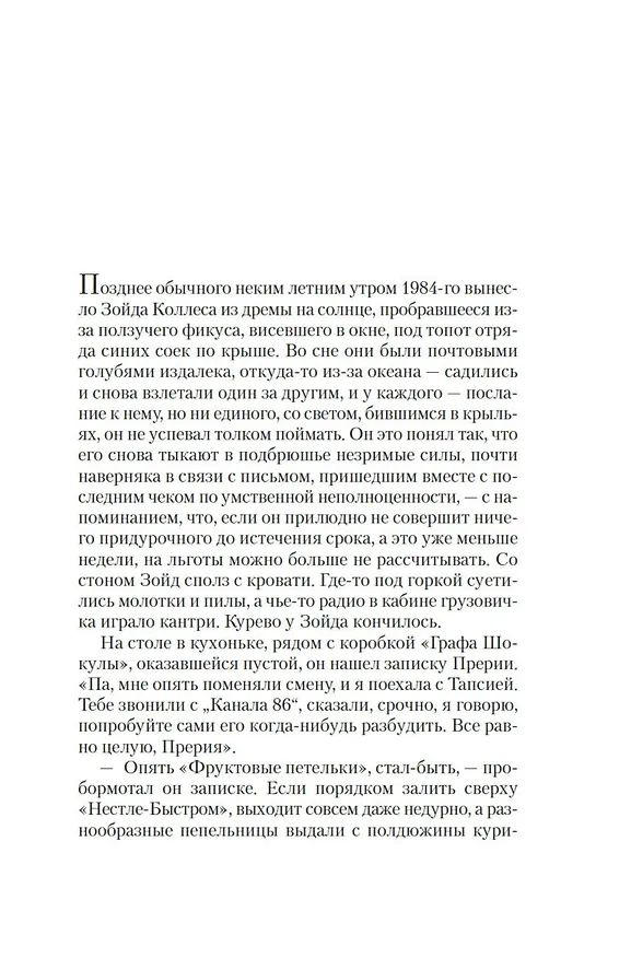 Книга Винляндия (Томас Пинчон) — 20