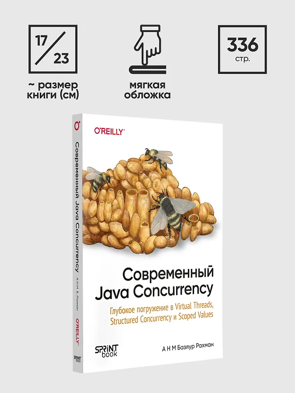 Книга Современный Java Concurrency. Глубокое погружение в Virtual Threads, Structured Concurrency и Scoped Values (А Н М Базлур Рахман) — 10