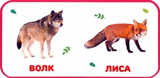 Книга Дикие животные () — 2