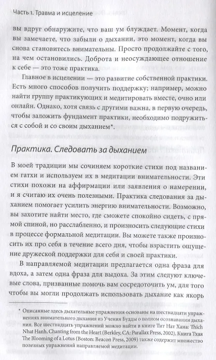 Книга Цветы в темноте. Практики, которые помогут исцелиться от травмы и найти опору в себе (Данг Нгием) — 6