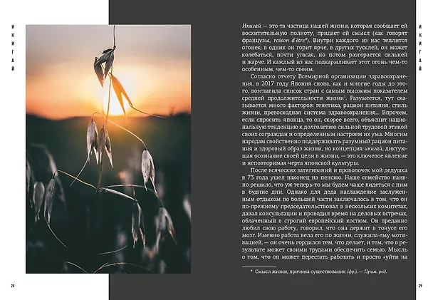 Книга Японизм. Маленькая книга японской жизненной мудрости (Эрин Ниими Лонгхёрст) — 11