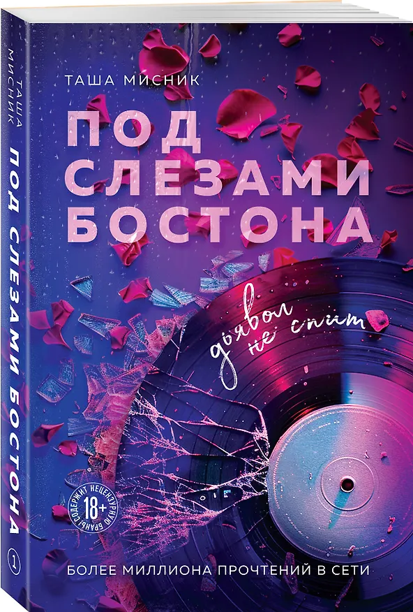 Книга Под слезами Бостона. Дьявол не спит (Таша Мисник) — 4