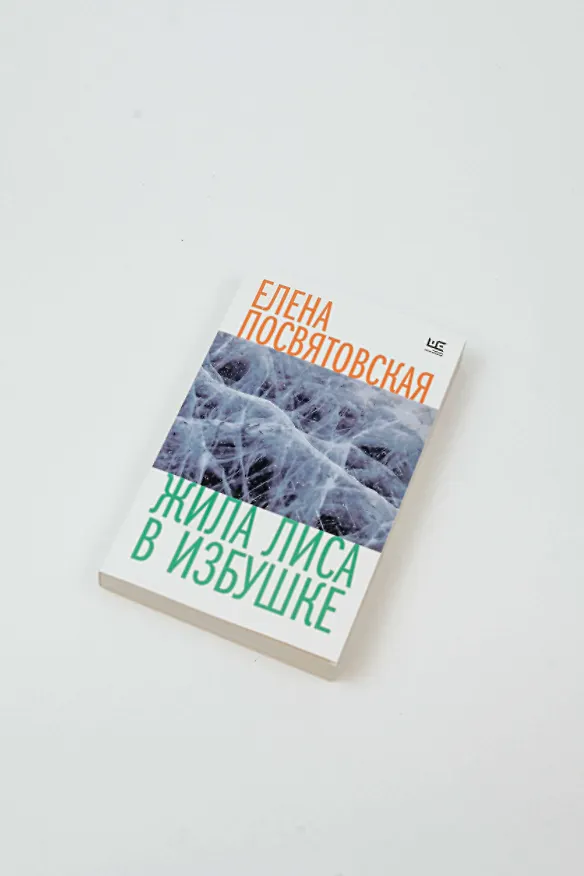 Книга Жила Лиса в избушке (Елена Посвятовская) — 6