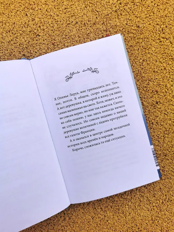 Книга Тайна заброшенного дома (Флориан Дениссон) — 18