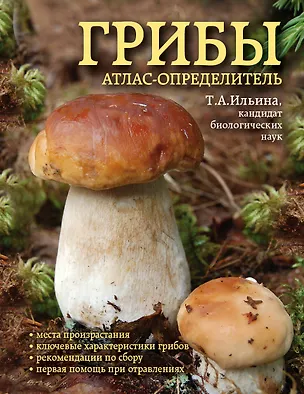 Книга Грибы. Атлас-определитель (Татьяна Ильина)
