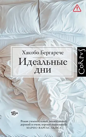 Книга Идеальные дни (Хакобо Бергарече)