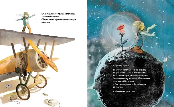 Книга Маленький Принц (ил. Сары Массини) (Антуан де Сент-Экзюпери) — 13