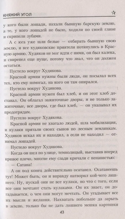 Книга Княжий Угол (Николай Чуковский) — 6
