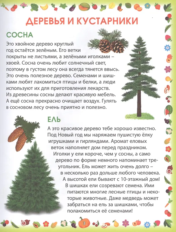 Книга Растения (Елена Гриценко) — 2