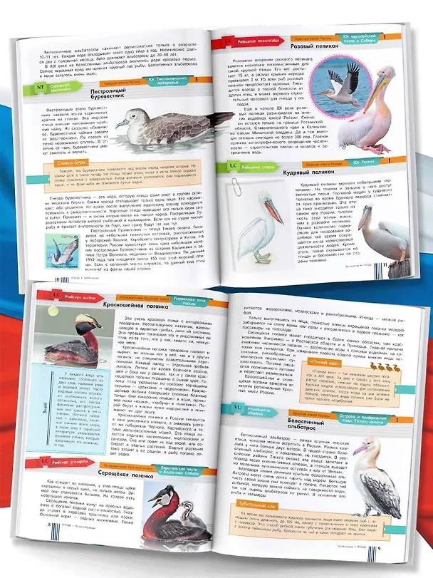 Книга Красная книга России (Юлия Дунаева) — 5