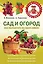Сад и огород. Как вырастить за один сезон — 2307224 — 1
