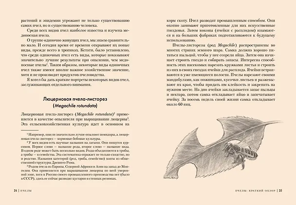 Книга Пчелы. Что человек и пчела значат друг для друга (Фридрих Хайнбух) — 5