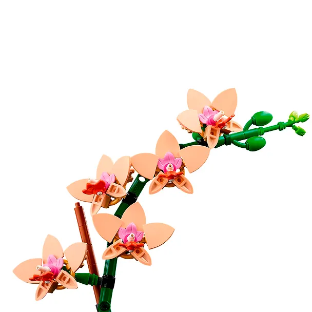 LEGO Botanical Collection: Мини-орхидея, 274 детали (10343) 3118441 — 5