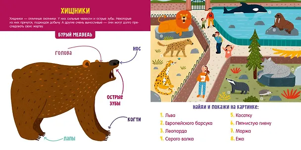 Книга Животные. Визуальный словарь (Анна Парамонова) — 3