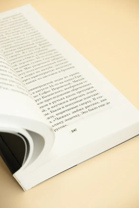 Книга Меандр (Лев Лосев) — 15