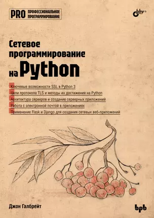 Сетевое программирование на Python — 3027776 — 1