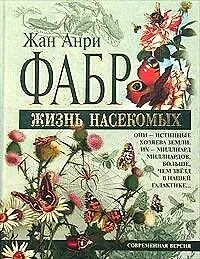 Жизнь насекомых: Современная версия