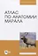 Атлас по анатомии марала — 2829937 — 1