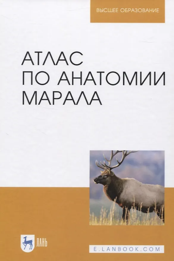 Книга Атлас по анатомии марала () — 1