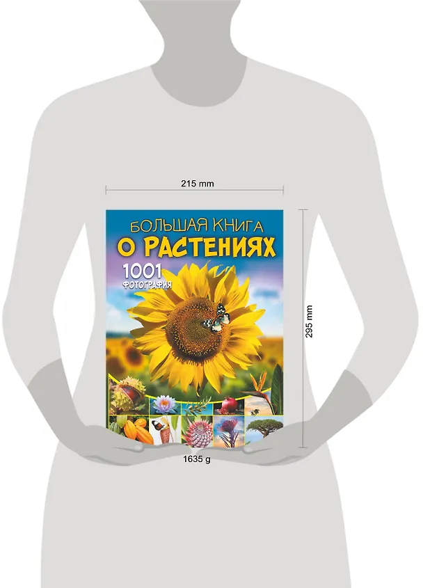 Книга Большая книга о растениях. 1001 фотография (Анна Спектор, Дмитрий Медведев) — 7