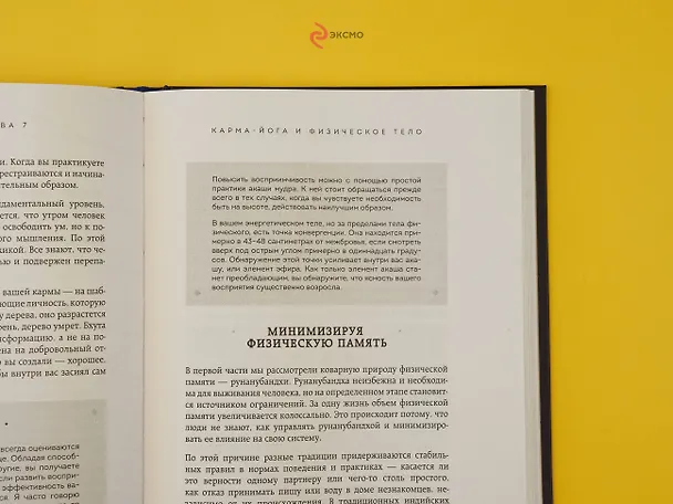 Книга Карма. Как стать творцом своей судьбы (Садхгуру) — 11