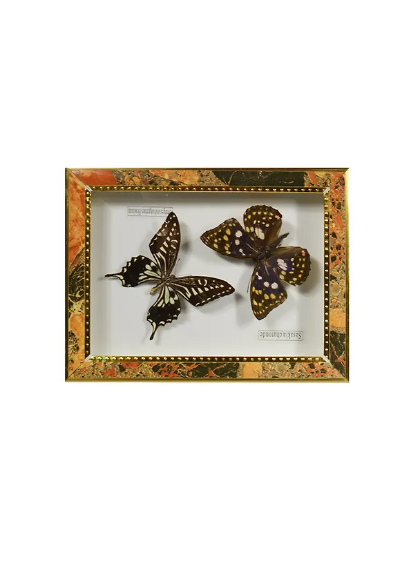 Панно Бабочки (15х20) (101001) 2455232 — 1