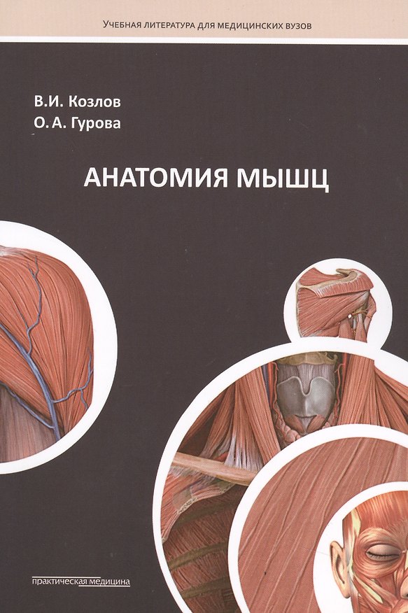 Книга Анатомия мышц: Учебное пособие. (Валентин Козлов) — 1