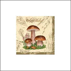 Салфетки Maki бум. сервиров. Белый гриб (SLOG015001) (33х33) (20шт) (3сл)