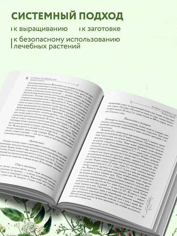 Книга Аптечный огород. Справочник по сбору, хранению и применению целебных растений (новое оформление) (Татьяна Ильина) — 9