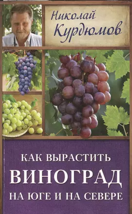 Курдюмов(ДачнаяШкола) Как вырастить виноград на Юге и на Севере — 2508064 — 1