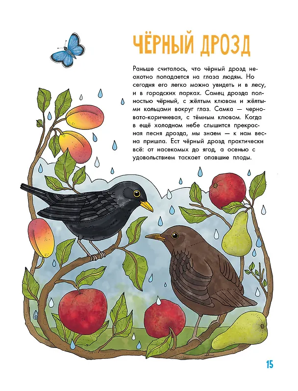 Книга Птицы (Эмма Янссон) — 6