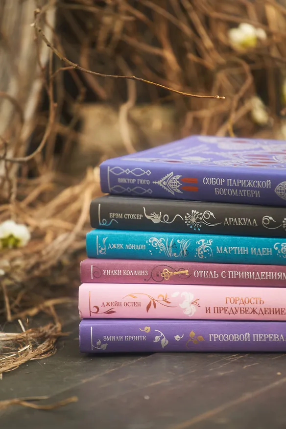 Книга Собор Парижской Богоматери (Виктор Мари Гюго) — 13