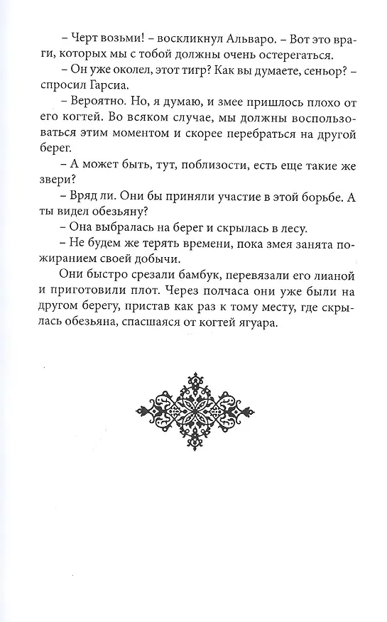 Книга Человек огня (Эмилио Сальгари) — 6