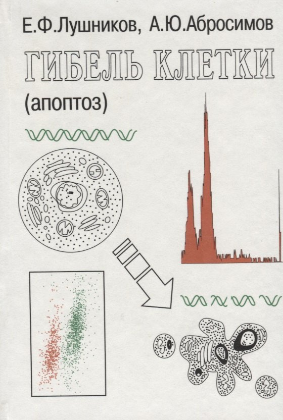 

Гибель клетки (апоптоз)