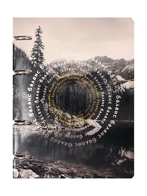Тетрадь 100л кл. "Баланс" на кольцах, мел.картон, глянц.ламинация, тичнение фольгой Серебро, квадр.корешок, скругл.углы 3084257