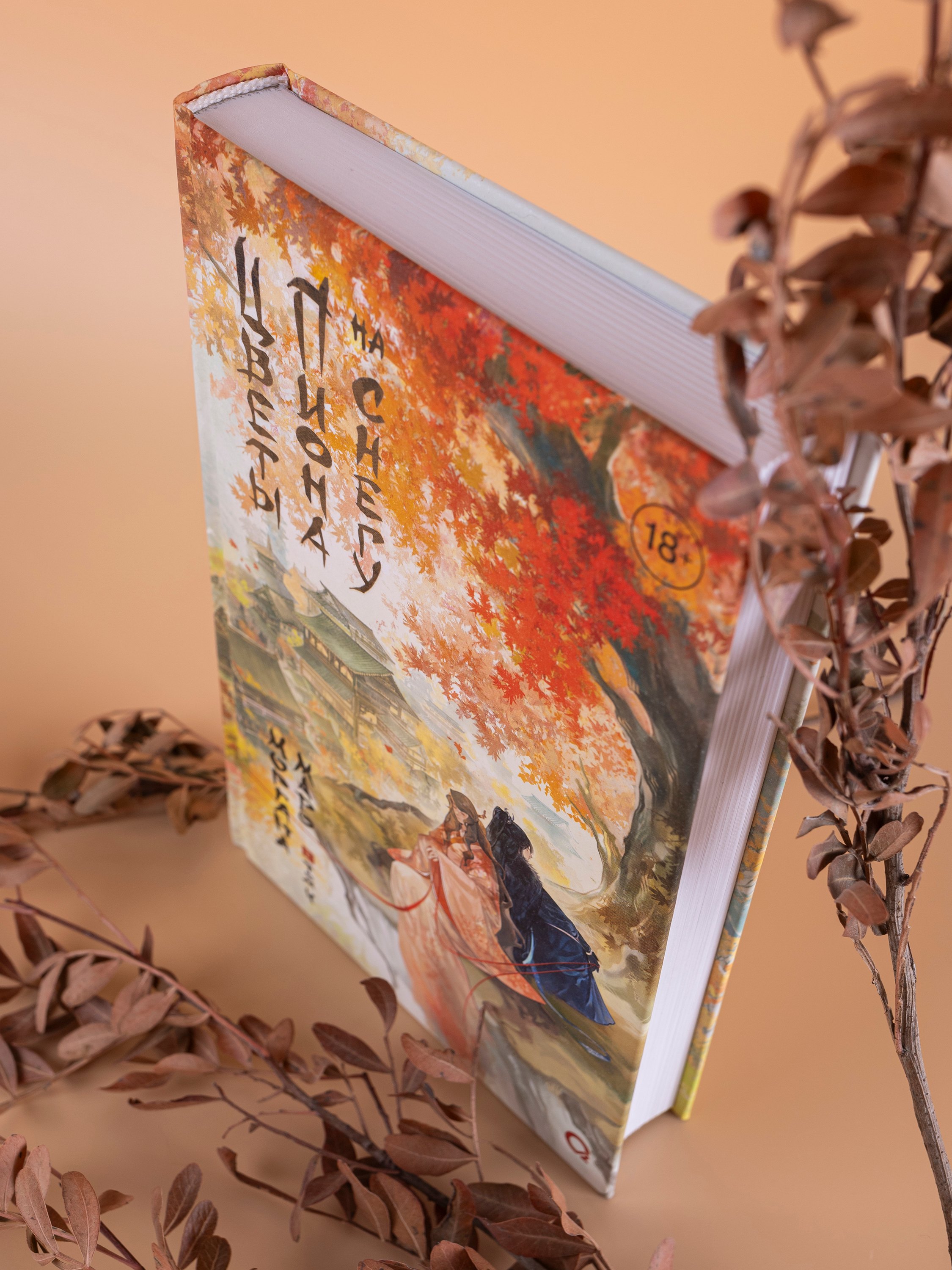 Изображение бумажной книги