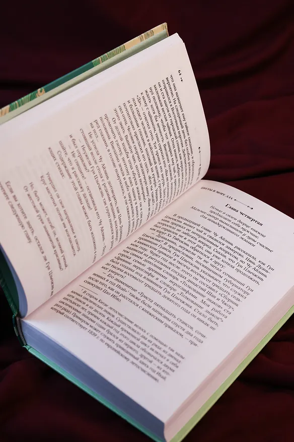 Книга Цветы в море зла (Пу Цзэн) — 14