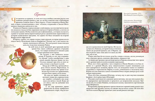 Книга Русский сад и огород. Занимательная история плодов и овощей (Николай Золотницкий) — 10