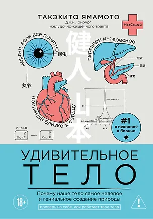 Книга Удивительное тело. Почему наше тело самое нелепое и гениальное создание природы (Такэхито Ямамото)