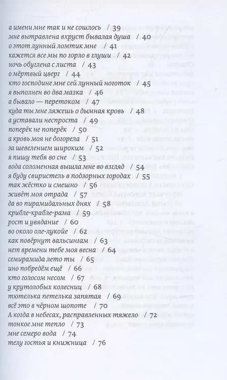 Книга Поворот земель. Стихи 2021-2024 годов (Богдан Агрис) — 4