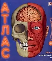 Книга 3D атлас человеческого тела (Анита Ганери)
