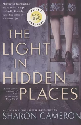 The Light in Hidden Places — 2933866 — 1