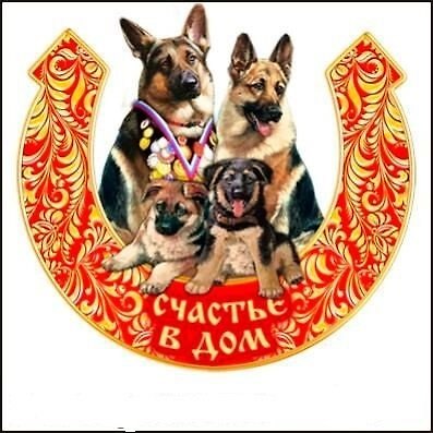 Сувенир, Магнит деревянный Подковы с семьей 8,5*10см в ассортименте 338880 — 1