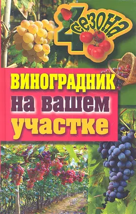 Виноградник на вашем участке — 2306206 — 1