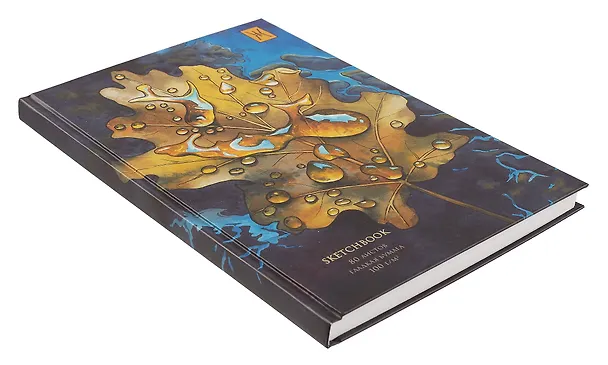 Скетчбук А5+ 80л "SKETCHBOOK. Осень" 100г/м2, мат.ламинация, 7БЦ, офсет 3069333 — 2