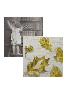 Набор салфеток для декупажа Библиотека (80044/A-039) (2шт) (упаковка)