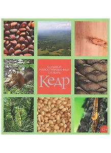 Большой иллюстрированный словарь "Кедр"