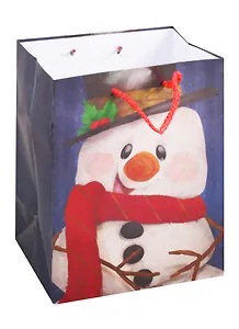 Пакет А5 24*20*11 Новый год, глянец, ассорти 1