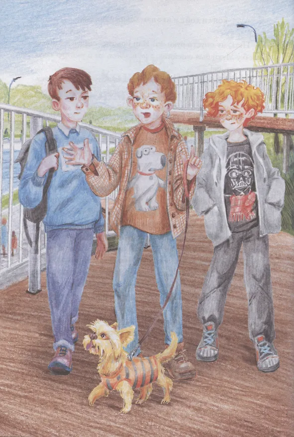 Книга Братство рыжих (Лидия Волкова) — 3